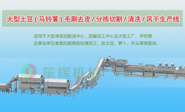 靖西连续式土豆去皮清洗切割风干生产线